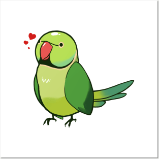 Ringneck Parakeet 1 Posters and Art